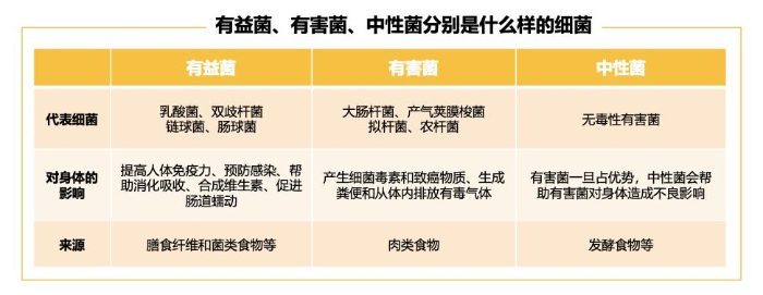 90%的疾病都是因为它，三位专家揭秘肠道健康的诀窍