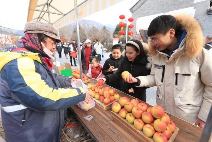 图为游客在怀北古关迎春大集上购买红肖梨。（北京市怀柔区供图）