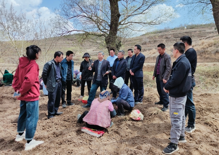 图为检查员在黄芪规范化生产基地学习种苗等相关知识