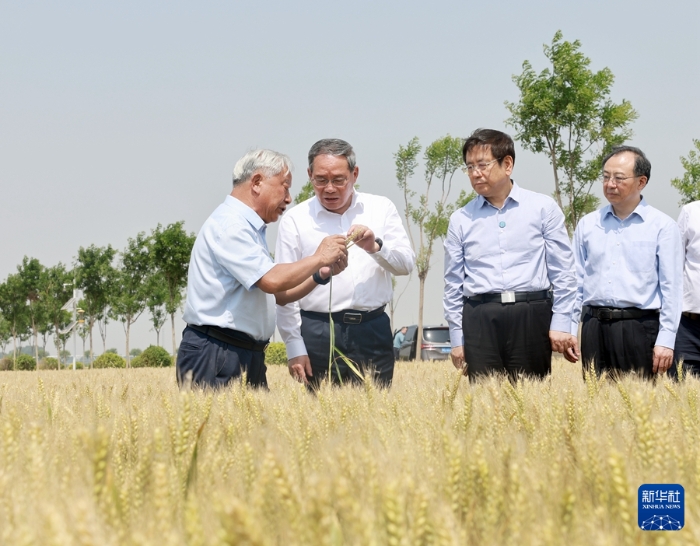 5月22日至23日，中共中央政治局常委、国务院总理李强在河南调研。这是5月23日，李强在新乡市平原示范区高标准农田调研。新华社记者 王晔 摄