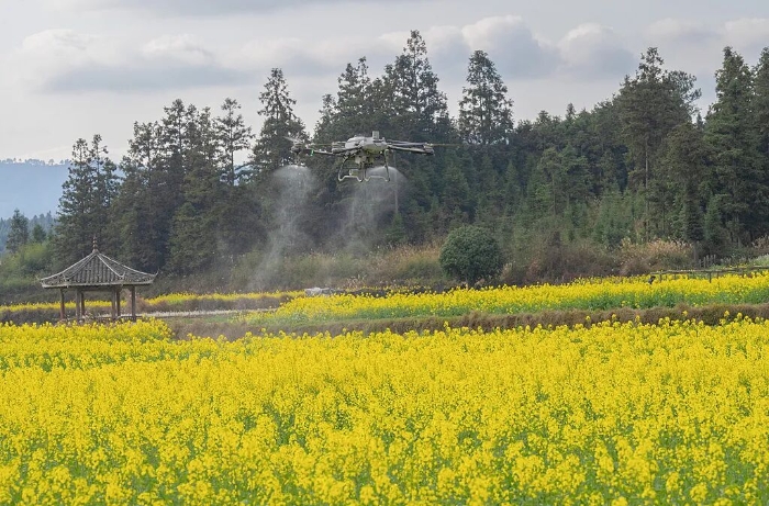 新一轮千亿斤粮食产能提升行动
