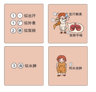 岐黄传道话本草发散风寒药麻黄