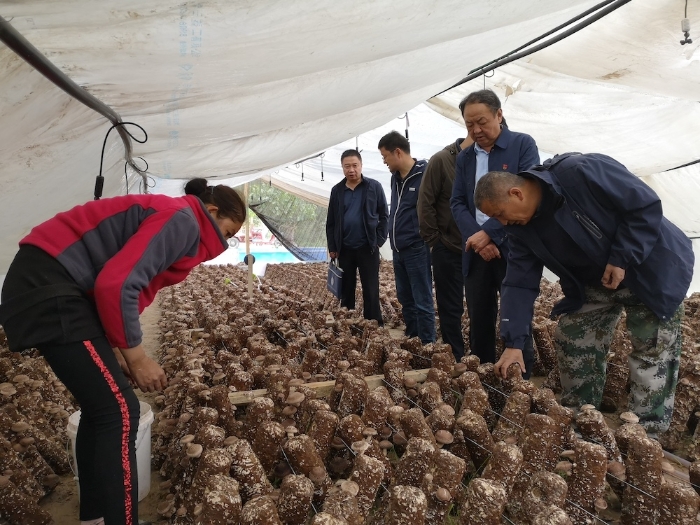 新疆维吾尔自治区药监局调研组赴皮山县桑株镇调研脱贫攻坚工作