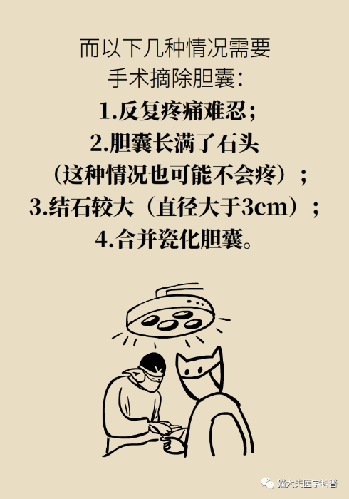 胆结石胃结石身体里突然多了这些石头怎么办