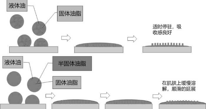 图1 不同状态的油、油脂的铺展形成薄膜图 图1 不同状态的油、油脂的铺展形成薄膜图