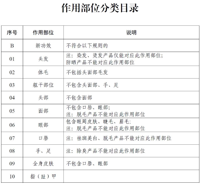 作用部位分类目录