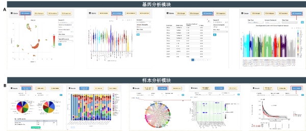 CancerSCEM数据库在线分析平台的7个分析功能展示