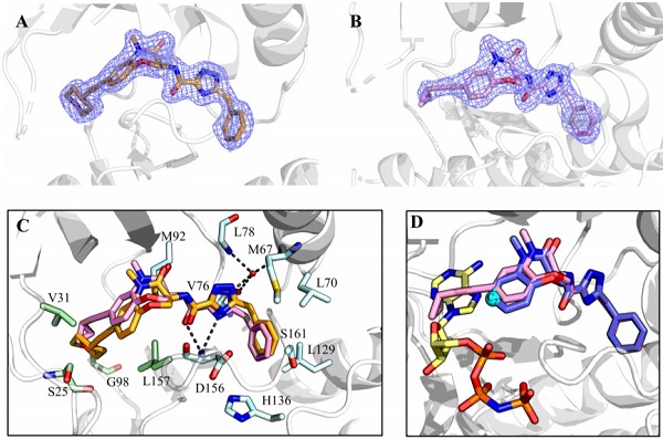20 21号化合物结合模式分析 20 21号化合物结合模式分析