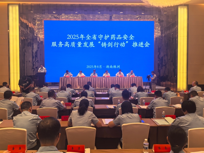 铸剑行动2