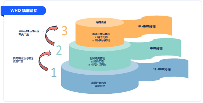 微信图片_2026-03-17_163458_012