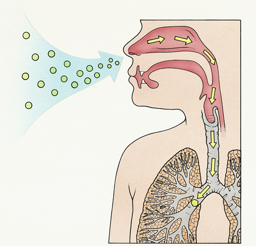 养成戴口罩的好习惯,我们要学会抑制有毒有害物质侵入我们的呼吸系统